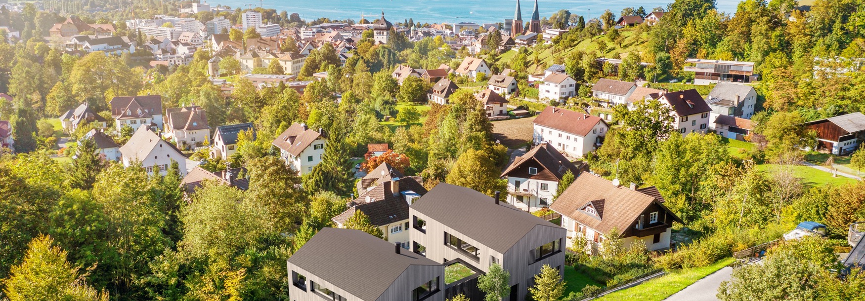 Pfänderhang / Oberstadt, Schedlerstraße