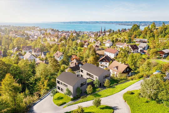 Pfänderhang / Oberstadt, Schedlerstraße